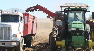 Total Value of Idaho Ag Production up Again
