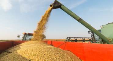 Focus on Harvest Safety This Fall
