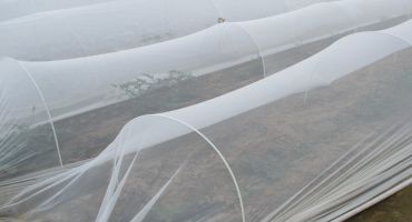 Temporary and Permanent Pest Exclusion Systems for Vegetable Production