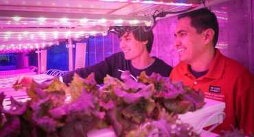 Growing Up: Vertical Farming Makes the Most of Limited Space