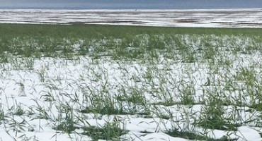 Canadian Farmers are Adapting to New Climate