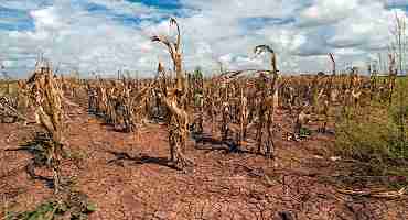 Hot, Dry, Windy Events are Occurring in Western Kansas, West Texas More Frequently