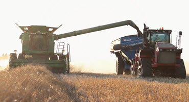 Alta. producers experience diverse yields