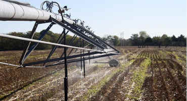 UK Begins on-farm Variable Rate Irrigation Research