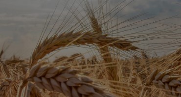 Farmers Feed America While Critics Say “Let Them Fail”