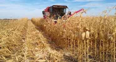 Using Data for Better Seed Selection