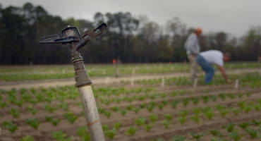 Around the Globe, Groundwater Requires Local Governance