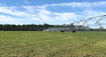 Inspect Center Pivot Irrigation Systems now to Prevent Issues Later