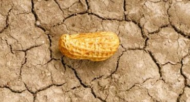 Slight Increase in Abnormally Dry Conditions Likely to Change After Sally