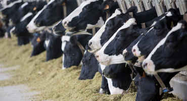 More Negative PPDs and De-Pooling Reignite Federal Milk Marketing Order Debate