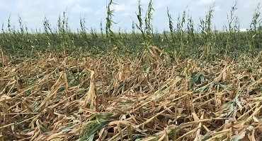 Prep Harvest Equipment for Winter Storage