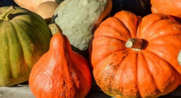 Celebrate Fall Vegetables