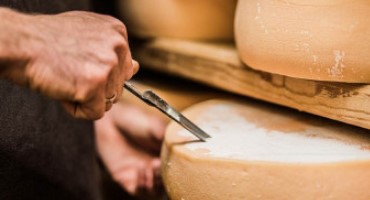 Sensory Evaluation Guide for Cheesemakers