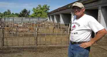 Farmers Got A Government Bailout In 2020, Even Those Who Didn't Need It