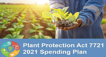USDA Provides More Than $70 Million in Fiscal Year 2021 to Protect Agriculture and Natural Resources from Plant Pests and Diseases