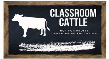 Cdn. rancher lets schools adopt calves