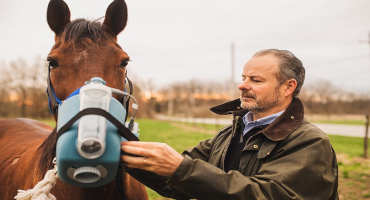Low-Dust Forages Essential for Asthmatic Horses