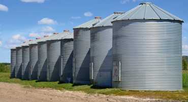 Spring Pest Management for Stored Grains