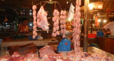 African Swine Fever Decimates Philippine Pig Stocks