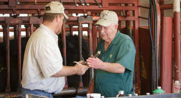 Antimicrobial Stewardship a Vital Element of Livestock Operations