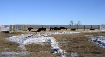 Guidelines for Livestock Windbreaks