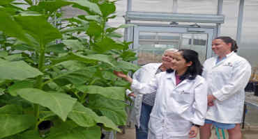 Finding the Best Targets to Improve Crop Yield by Following CO2 Journey Inside the Leaf