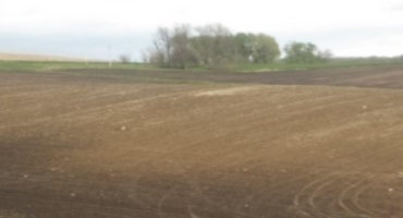 Corn Belt Farmland Has Lost a Third of its Carbon-Rich Soil
