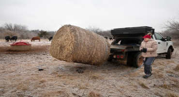 Take Steps to Maximize Available Hay in Cattle Operations