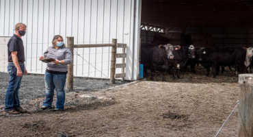 Biosecurity for Beef Cow-Calf Operations: Managing the Entry of New Animals