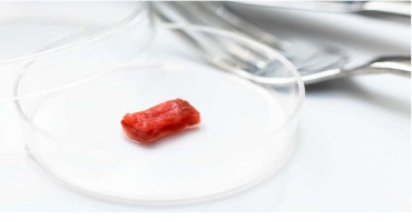 Researchers Report New Approach to Cultured Meat