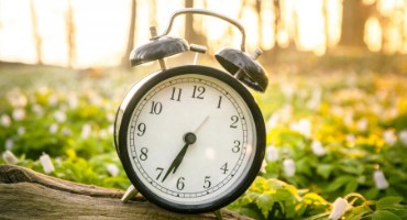 Plant Clock Could be the Key to Producing More Food For the World