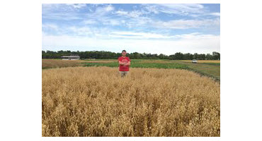 Cdn. farmers wanted for U of M cover crop study