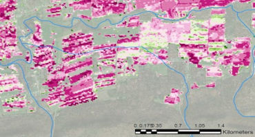 Opportunity Land for Energy Crops