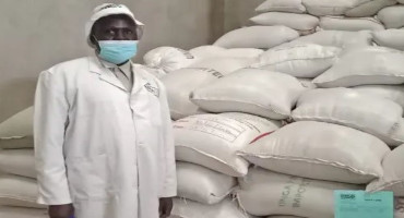 Poultry Feeding Trials In Kenya Showcase U.S. Sorghum