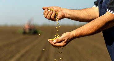 Soybean survey shows consumers trust farmers first