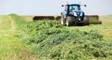 Pasture and Forage Minute: Deciphering a Hay Test