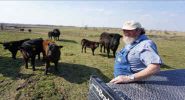 Electronic Tracking Of Livestock Has Many Opponents In The U.S.