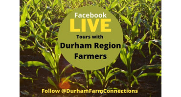 Durham farmers host virtual tours