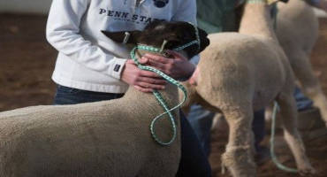 Biosecurity Best Practices Distinguish Youth Stockman