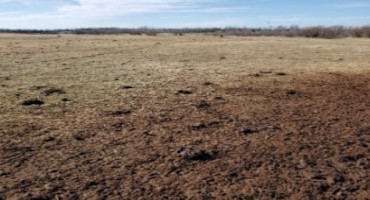 Making the Most of Manure in Pastures