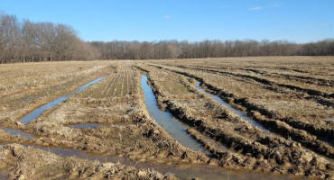 Fall Harvest Conditions Left a Mixed Bag of Challenges in Southwest Michigan Fields