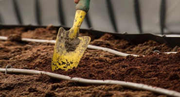 Soil and Fertilizer Basics