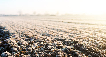 Ont. frost seeding window may be over