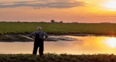 Health Care and Weather Distressing Farmers