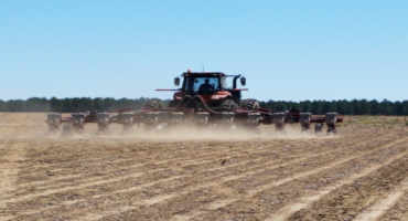 Mechanical Planter Settings Can Impact Harvest Yield