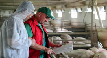 Can Pork Producers Rely on Antibiotic-Use-Based Product Differentiation To Be Competitive?