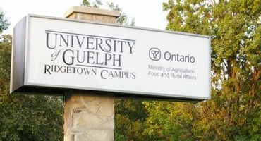 U of G Ridgetown Campus launches new scholarship program