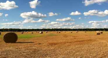 Understanding the Role of Carbon in Agriculture 