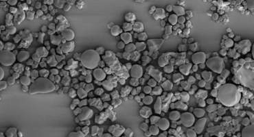 Tracing the Start of Starch Granules in Wheat