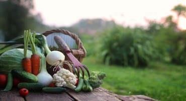 Increasing Fruit, Vegetable Production Can Help Double Value of Missouri AG